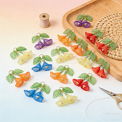 50Pcs 5 Colors Transparent Acrylic Pendants&nbsp;PALLOY-SZ00070