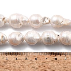 Natural Nucleated Pearl Beads Strands&nbsp;PEAR-B004-15G-01C