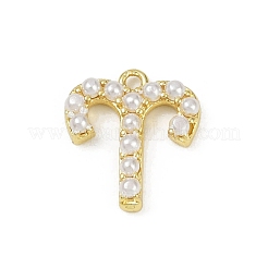 12Pcs 12 Constellations ABS Plastic Imitation Pearl Charms&nbsp;KK-M322-54G