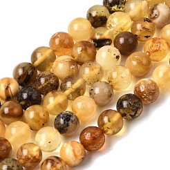 Natural Amber Beads Strands&nbsp;G-K376-H01-01