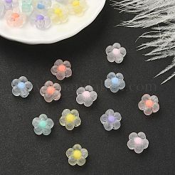 30Pcs 6 Colors Transparent Acrylic Beads&nbsp;TACR-YW0001-96