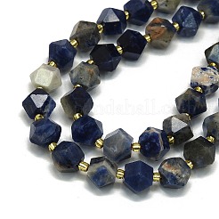 Natural Sodalite Beads Strand&nbsp;G-I376-A22-01