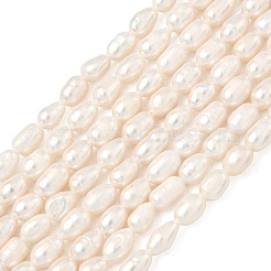 Natural Cultured Freshwater Pearl Beads Strands&nbsp;PEAR-D003-01D-14