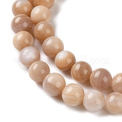 Natural Pink Shell Beads Strands&nbsp;SHEL-D002-A01-6mm