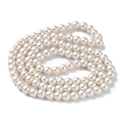 (Defective Closeout Sale: Fading) Baking Paint Pearlized Glass Pearl Round Bead Strands&nbsp;HY-XCP0001-12