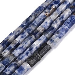 Natural Blue Spot Jasper Beads Strands&nbsp;GG-N002-01A-25