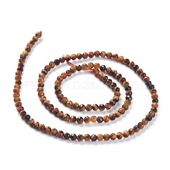 Natural Yellow Tiger Eye Beads Strands&nbsp;X-G-A026-A15-3mm