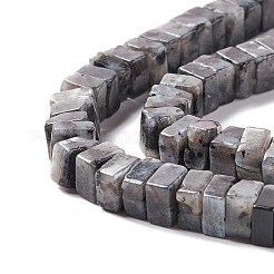 Natural Labradorite Beads Strands&nbsp;G-K326-12