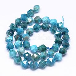 Natural Apatite Beads Strands&nbsp;G-N0313-06-10mm