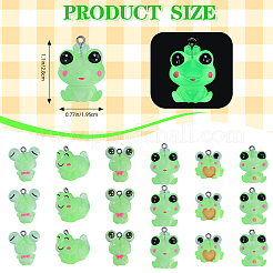 36Pcs 6 Styles Luminous Frog Resin Pendants&nbsp;RESI-SZ0003-50