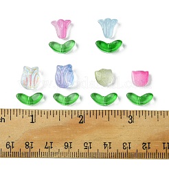 Transparent Glass Beads&nbsp;GLAA-FS0001-79