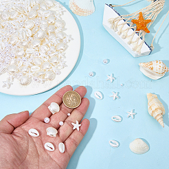440Pcs ABS Plastic Imitation Pearl Beads&nbsp;KY-SC0002-51