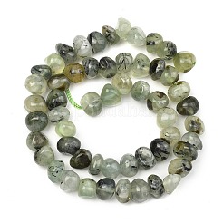 Natural Prehnite Beads Strands&nbsp;G-P617-B01-01