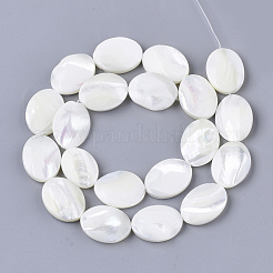 Natural Trochid Shell/Trochus Shell Beads Strands&nbsp;SHEL-T013-006A-02