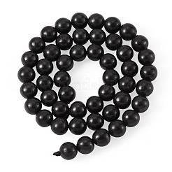 1 Strand Natural Shungite Beads Strands&nbsp;G-TA0003-34C
