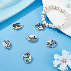 6Pcs Ion Plating(IP) Natural Paua Shell Pendants&nbsp;KK-BBC0005-41