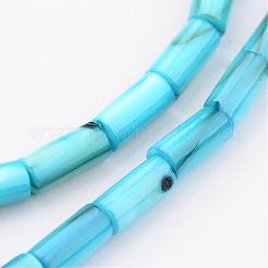 Natural Shell Bead Strands&nbsp;BSHE-P016-M