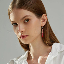 6 Pair 6 Style Resin & Wood Dangle Earrings with Iron Pins&nbsp;EJEW-AB00036