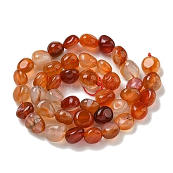 Natural Brazil Red Agate Beads Strands&nbsp;G-L599-A01-01