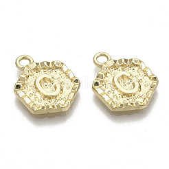 Alloy Pendants&nbsp;PALLOY-N157-003C-NR
