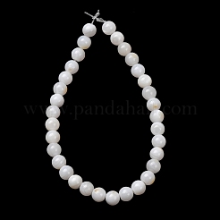 Natural Freshwater Shell Beads Strands&nbsp;SH-CBA2978-07D-04