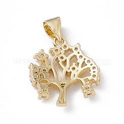 Rack Plating Brass Micro Pave Cubic Zirconia Pendants&nbsp;KK-G451-09G