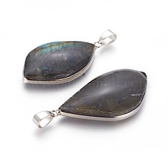 Natural Labradorite Pendants&nbsp;X-G-L524-01P