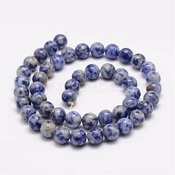 Natural Blue Spot Jasper Bead Strands&nbsp;G-K153-B07-8mm