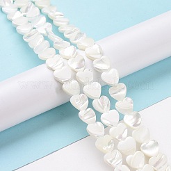 Natural Trochus Shell Beads Strands&nbsp;SSHEL-H070-06C