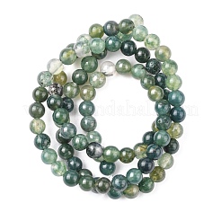 Natural Moss Agate Beads Strands&nbsp;GSR4mmC001
