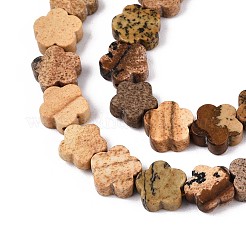 Natural Picture Jasper Beads Strands&nbsp;G-N257-24A-08
