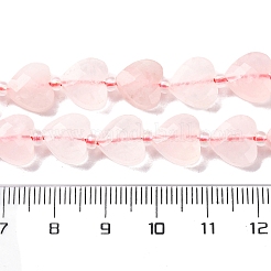 Natural Rose Quartz Beads Strands&nbsp;G-P570-E16-01