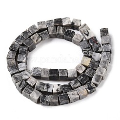 Natural Map Stone Beads Strands&nbsp;G-T139-6x6-20A