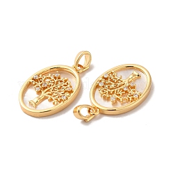 Brass Shell Pendants&nbsp;X-KK-M243-34G