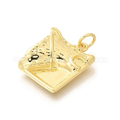 Brass Pendants&nbsp;KK-L225-048G