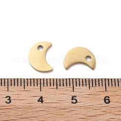 304 Stainless Steel Charms&nbsp;STAS-M111-06G