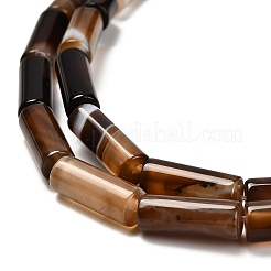 Dyed Natural Agate Beads Strands&nbsp;G-G203-01E