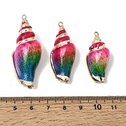 Brass & Spray Painted Natural Shell Pendants&nbsp;SH-CBA27C9-08