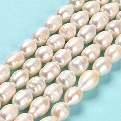 Natural Cultured Freshwater Pearl Beads Strands&nbsp;PEAR-E016-064