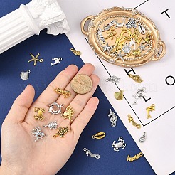 2Bags 2 Colors Tibetan Style Alloy Pendants&nbsp;FIND-YW0007-75