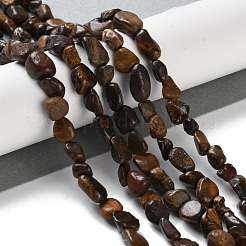 Natural Soil Opal Beads Strands&nbsp;G-P497-01C-13