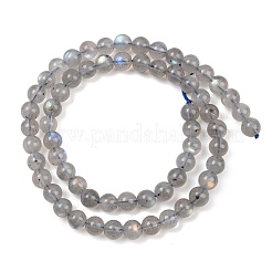 Natural Labradorite Beads Strands&nbsp;G-H337-A02-03
