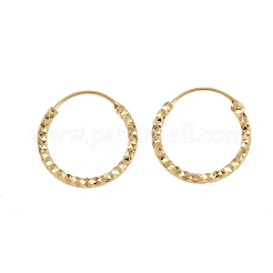 Brass Textured Hoop Earrings&nbsp;EJEW-F378-03C-G
