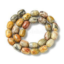 Barrel Shaped Gemstone Natural Crazy Lace Agate Beads Strands&nbsp;G-S114-08