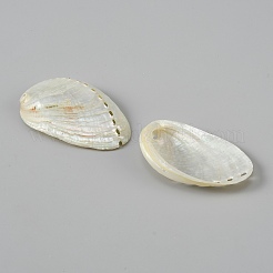 Natural Shell Display Decorations&nbsp;DJEW-WH0042-143A