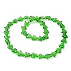 Transparent Glass Bead Strands&nbsp;EGLA-C002-A05