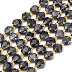 Natural Larvikite Beads Strands&nbsp;G-C116-A30-02