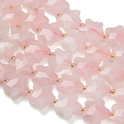Natural Rose Quartz Beads Strands&nbsp;G-L657-A06-01