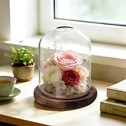 Glass Dome Cover&nbsp;AJEW-WH0817-019A