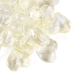 Transparent Glass Beads&nbsp;DGLA-N022-02